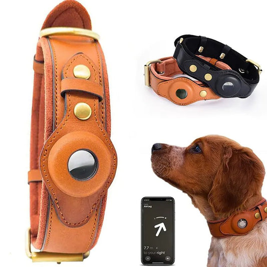 Leather Anti - Lost Dog Collar - Kathu Kat